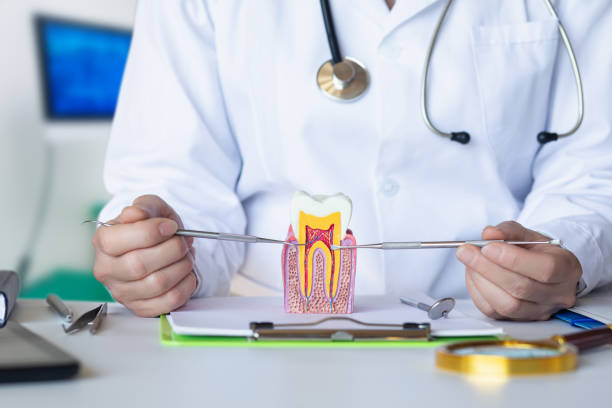 Best Dental Abscess Treatment in Ambler, PA